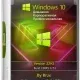 Иконка Windows 10 22H2 (19045.2251) x64 (3in1) by Brux [Ru]