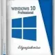 Иконка Windows 10 Pro TH2 (x86 x64) Elgujakviso Edition v.12.12.15 (2015) Русский