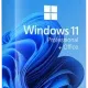 Иконка Windows 11 Pro 22H2 (build 22621.1555) + Office 2021 x64 by BoJlIIIebnik [RU]