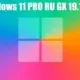 Иконка Windows 11 PRO RU [GX 19.12.21] 22000.376