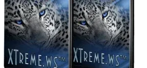 Иконка WinStyle