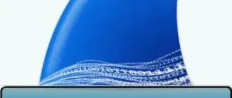 Иконка Wireshark 3.4.3 + Portable [Multi Ru]