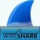 Иконка Wireshark 3.4.3 + Portable [Multi Ru]