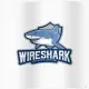 Иконка Wireshark 3.6.3 + Portable [Multi Ru]