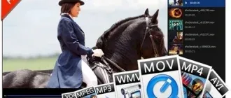 Иконка Wondershare Player