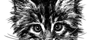 Иконка YTDisBystro (универсальная сборка на основе Zapret) 2.2 [Ru En]