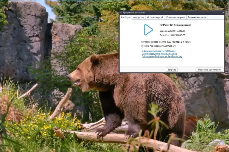 Инсталляция и активация