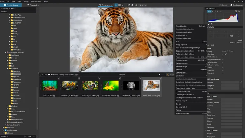 Инсталляция и активация