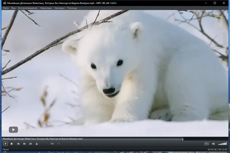 Инсталляция и активация