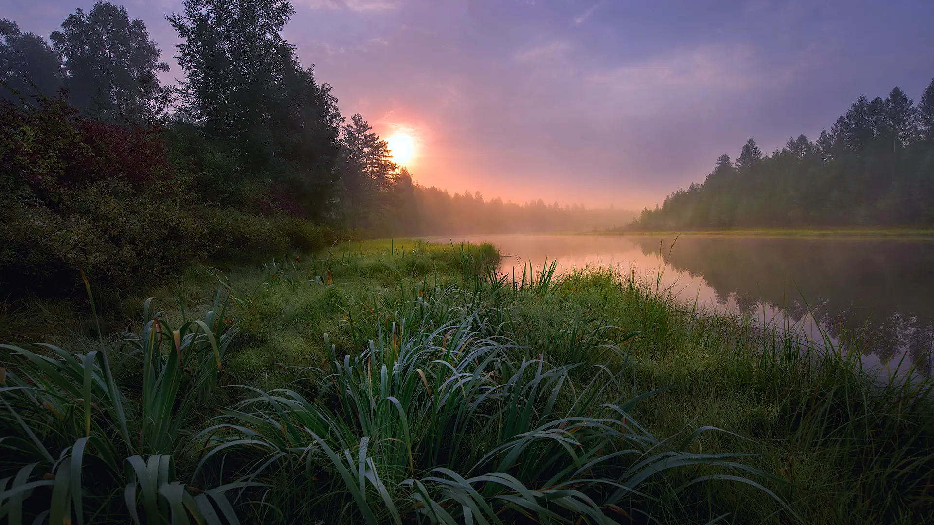 Инсталляция и активация