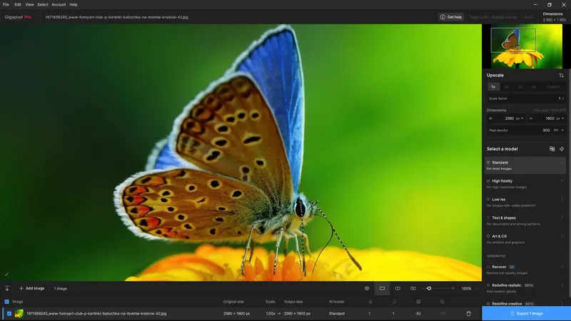 Инсталляция и активация