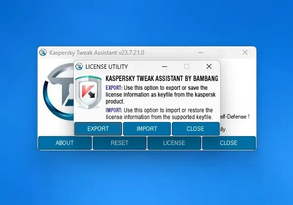 Инсталляция и активация