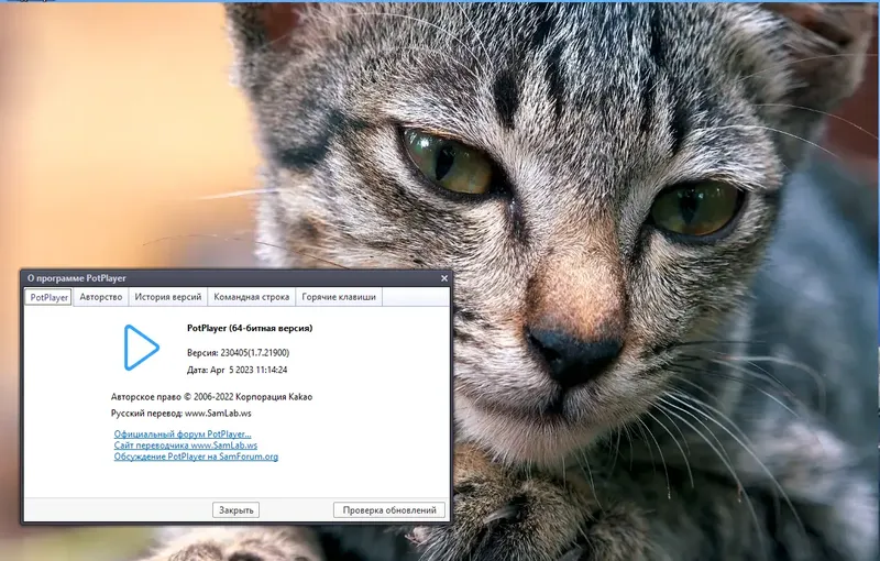 Инсталляция и активация