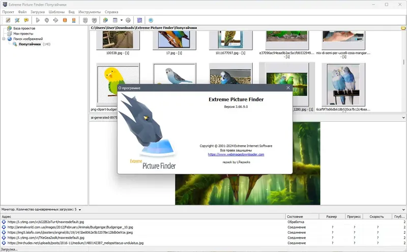 Инсталляция и активация