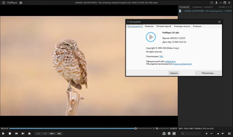 Инсталляция и активация