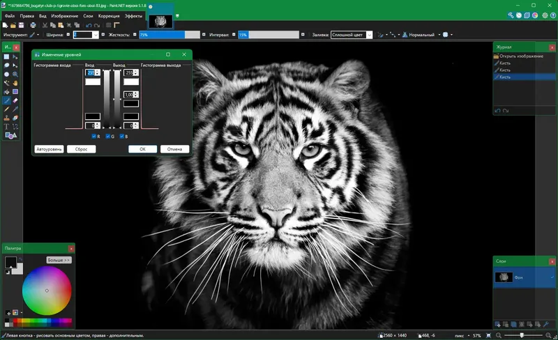 Инсталляция и активация