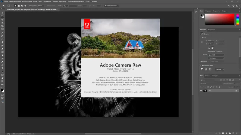 Инсталляция и активация