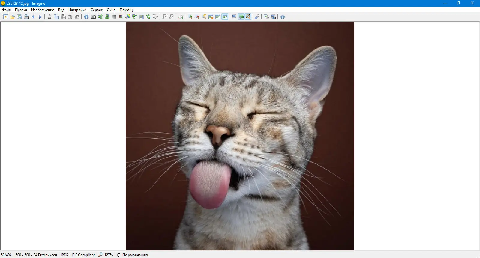 Инсталляция и активация