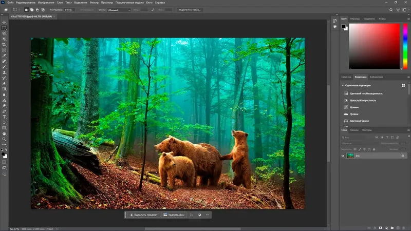 Инсталляция и активация