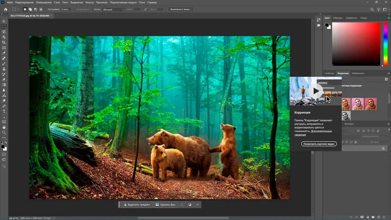 Инсталляция и активация