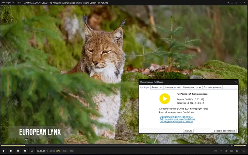 Инсталляция и активация