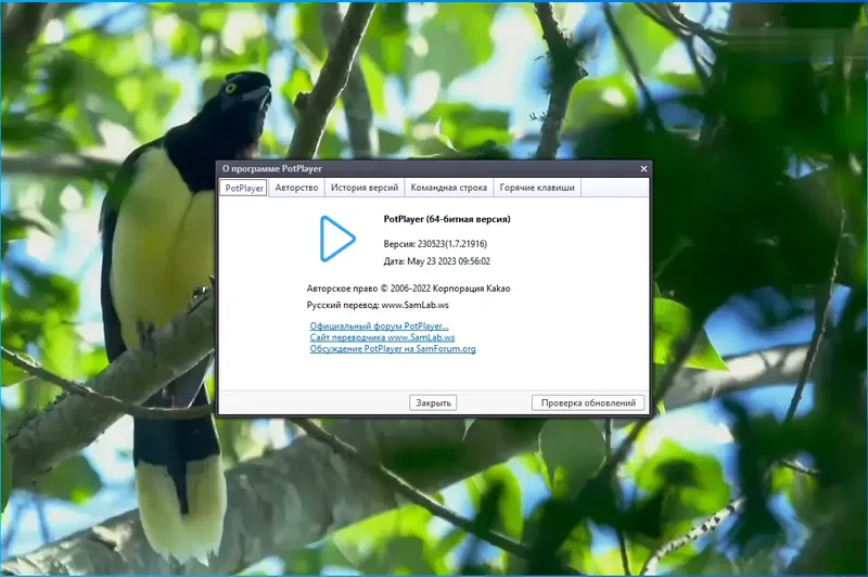 Инсталляция и активация