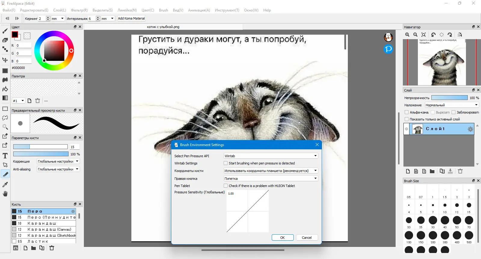 Инсталляция и активация