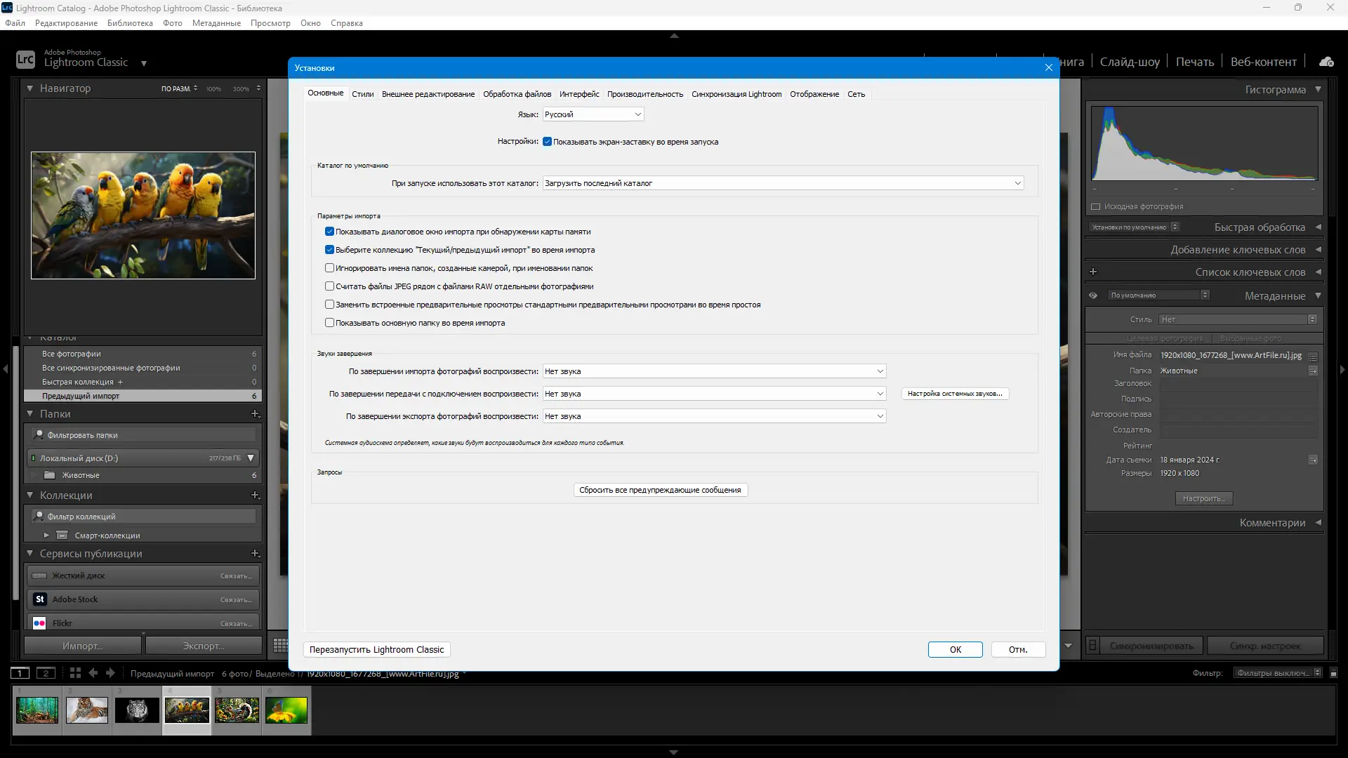 Настройки программы