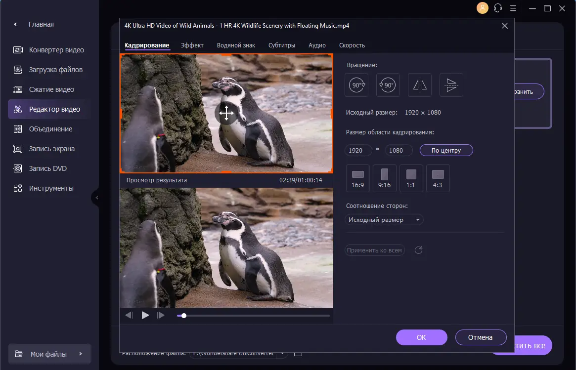 Настройки программы