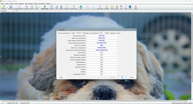 Настройки программы