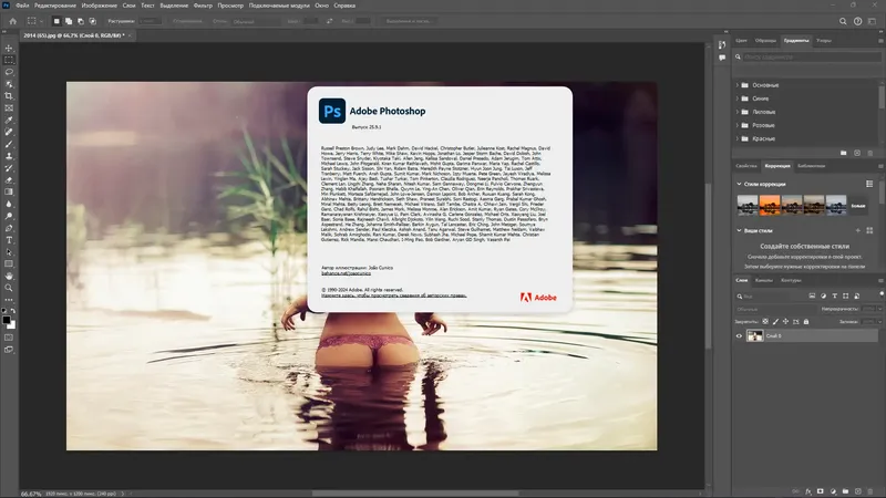 Пользовательсткй интерфейс Adobe Photoshop 2024 25.9.1.626 Light (x64) Portable by 7997 [Multi Ru]