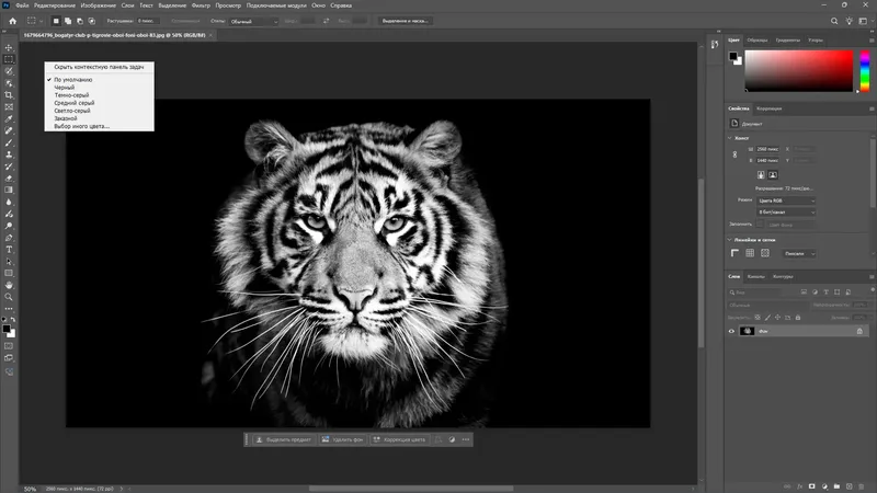 Пользовательсткй интерфейс Adobe Photoshop 2025 26.8.1.8 Full Portable by 7997 [Multi Ru]