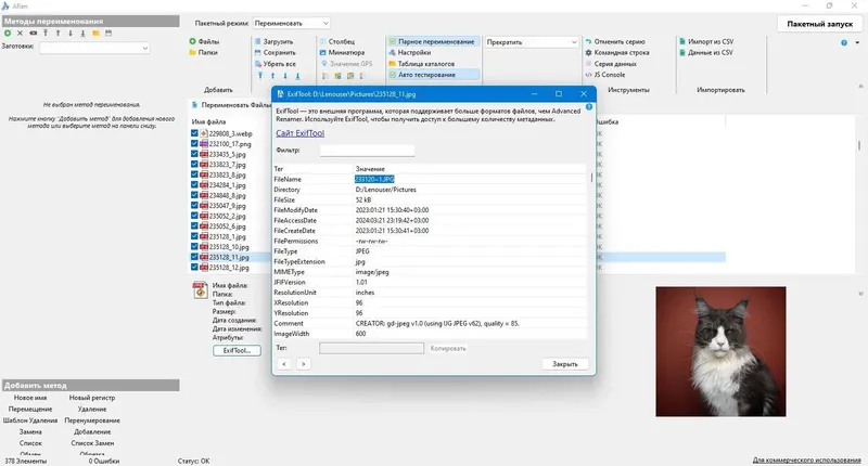 Пользовательсткй интерфейс Advanced Renamer 3.95 release 2 + Portable (x64) [Multi Ru]