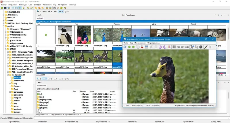 Пользовательсткй интерфейс Double Commander 1.0.10 + Portable [Multi Ru]