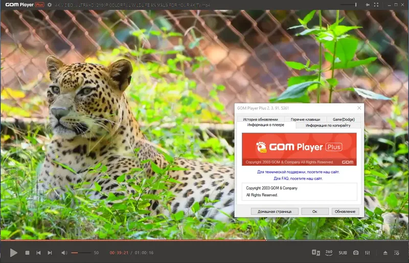 Пользовательсткй интерфейс GOM Player Plus 2.3.91.5361 Portable by 7997 [Multi Ru]