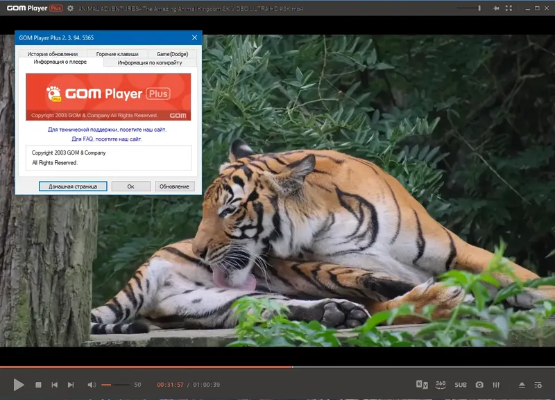 Пользовательсткй интерфейс GOM Player Plus 2.3.94.5365 (x64) Portable by 7997 [Multi Ru]