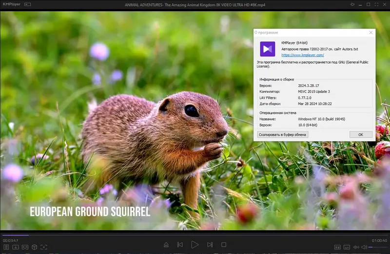 Пользовательсткй интерфейс KMPlayer 2024.3.28.17 (x64) Portable by 7997 [Multi Ru]