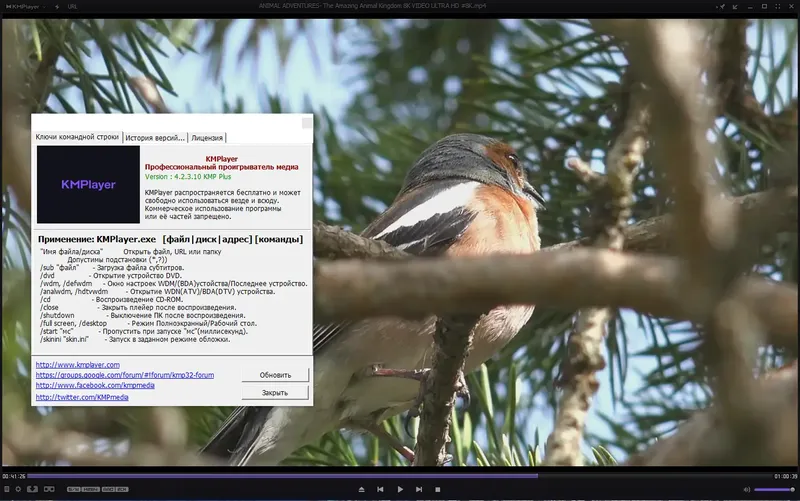 Пользовательсткй интерфейс KMPlayer 4.2.3.10 Plus (x86) Portable by 7997 [Multi Ru]