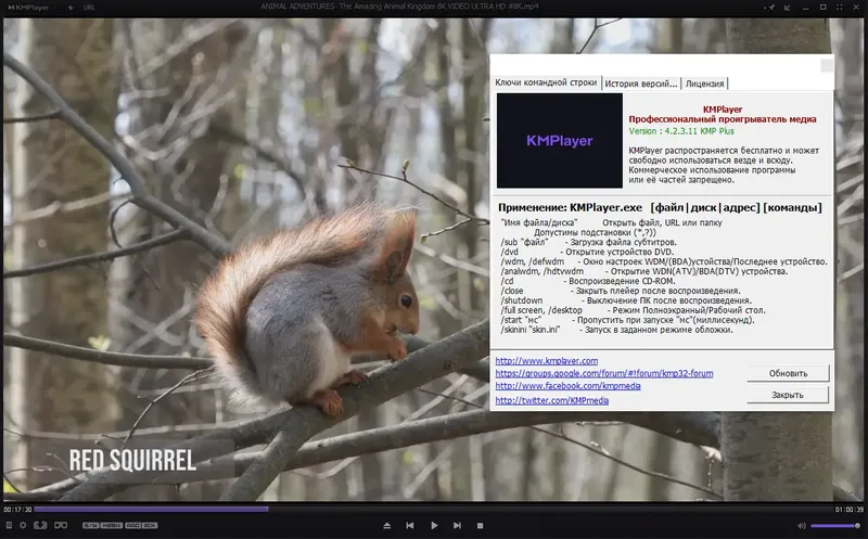 Пользовательсткй интерфейс KMPlayer 4.2.3.11 Plus (x86) Portable by 7997 [Multi Ru]