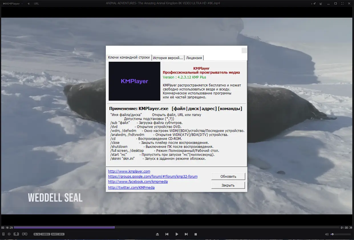 Пользовательсткй интерфейс KMPlayer 4.2.3.12 Plus (x86) Portable by 7997 [Multi Ru]