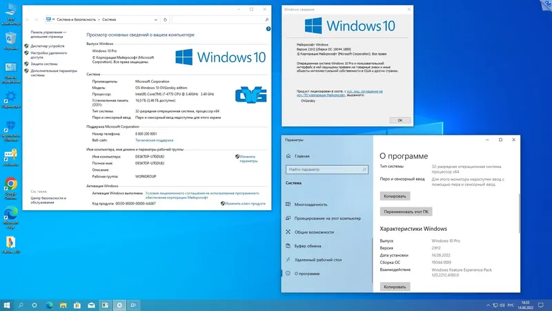 Пользовательсткй интерфейс Microsoft® Windows® 10 Professional VL x86-x64 21H2 RU by OVGorskiy 08.2022