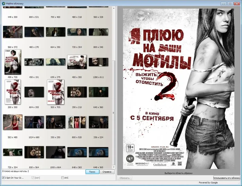 Пользовательсткй интерфейс Movie Collector Pro Cobalt.4 Build 3 RePack by MV Club [Multi Ru]