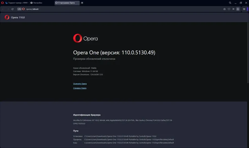 Пользовательсткй интерфейс Opera One 110.0.5130.49 Portable by Cento8 [Ru En]