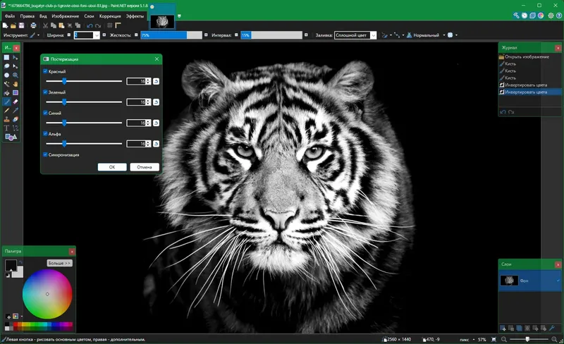 Пользовательсткй интерфейс Paint.NET 5.1.8 Final + Portable [Multi Ru]
