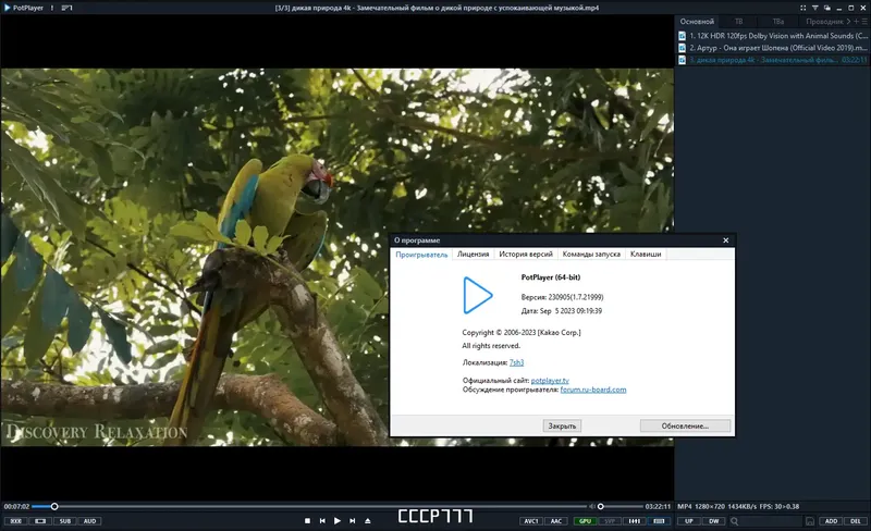 Пользовательсткй интерфейс PotPlayer 230905 (1.7.21999) (x64) Stable RePack (& portable) by 7sh3 [Multi Ru]