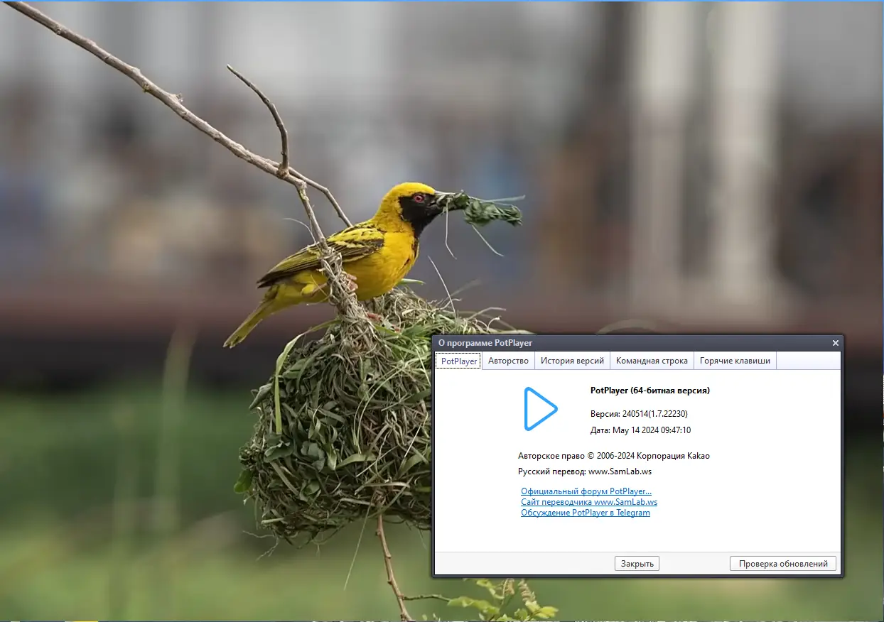 Пользовательсткй интерфейс PotPlayer 240514 (1.7.22230) Portable by 7997 [Multi Ru]