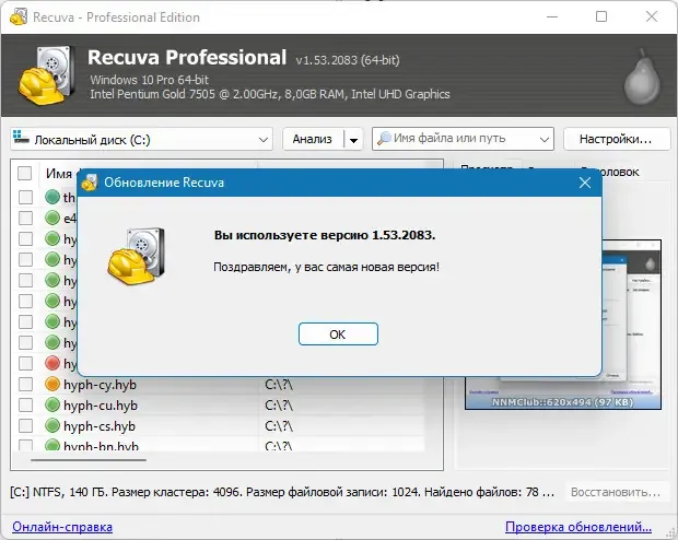 Пользовательсткй интерфейс Recuva Professional Business Technician 1.53.2083 [Multi Ru]