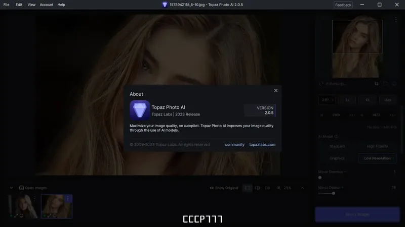 Пользовательсткй интерфейс Topaz Photo AI 2.0.5 (x64) Portable by 7997 [En]