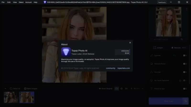 Пользовательсткй интерфейс Topaz Photo AI 2.3.2 (x64) Portable by 7997 [En]