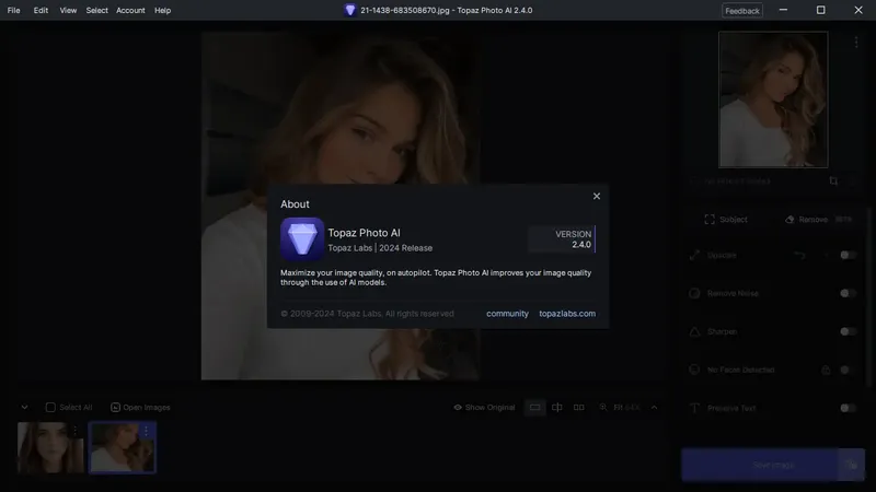 Пользовательсткй интерфейс Topaz Photo AI 2.4.0 (x64) Portable by 7997 [En]